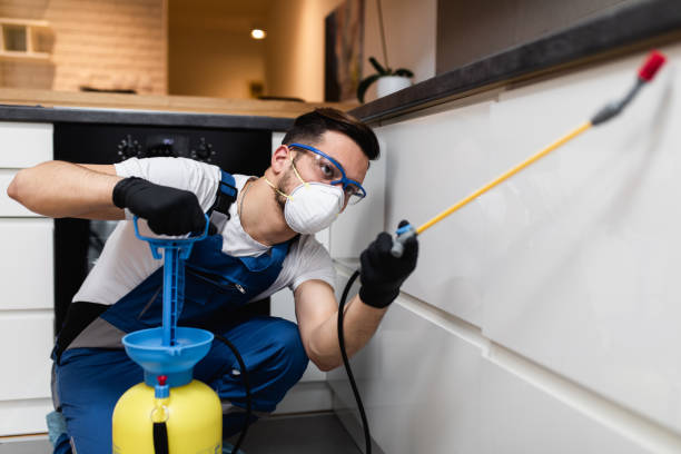Best Local Pest Control Services  in Tualatin, OR
