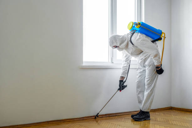 Best Pest Removal Services  in Tualatin, OR