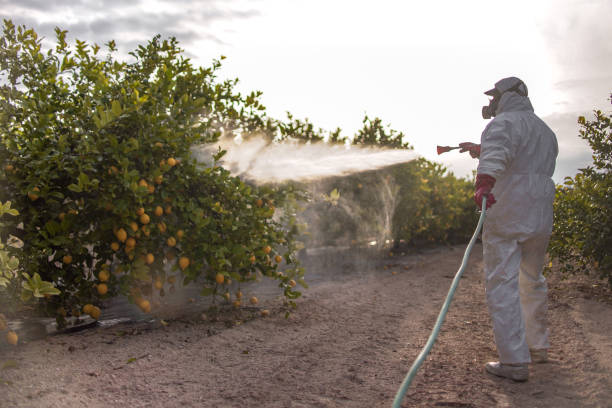 Best Commercial Pest Control Services  in Tualatin, OR