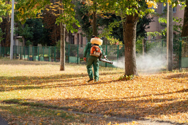 Trusted Tualatin, OR Pest Control Experts
