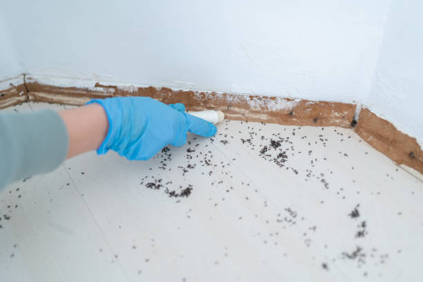 Pest Prevention Services in Tualatin, OR